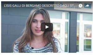 video_galli